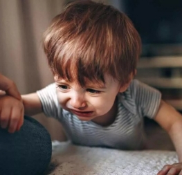 Tu router puede ser un peligro para niños y mascotas y así puedes evitarlo